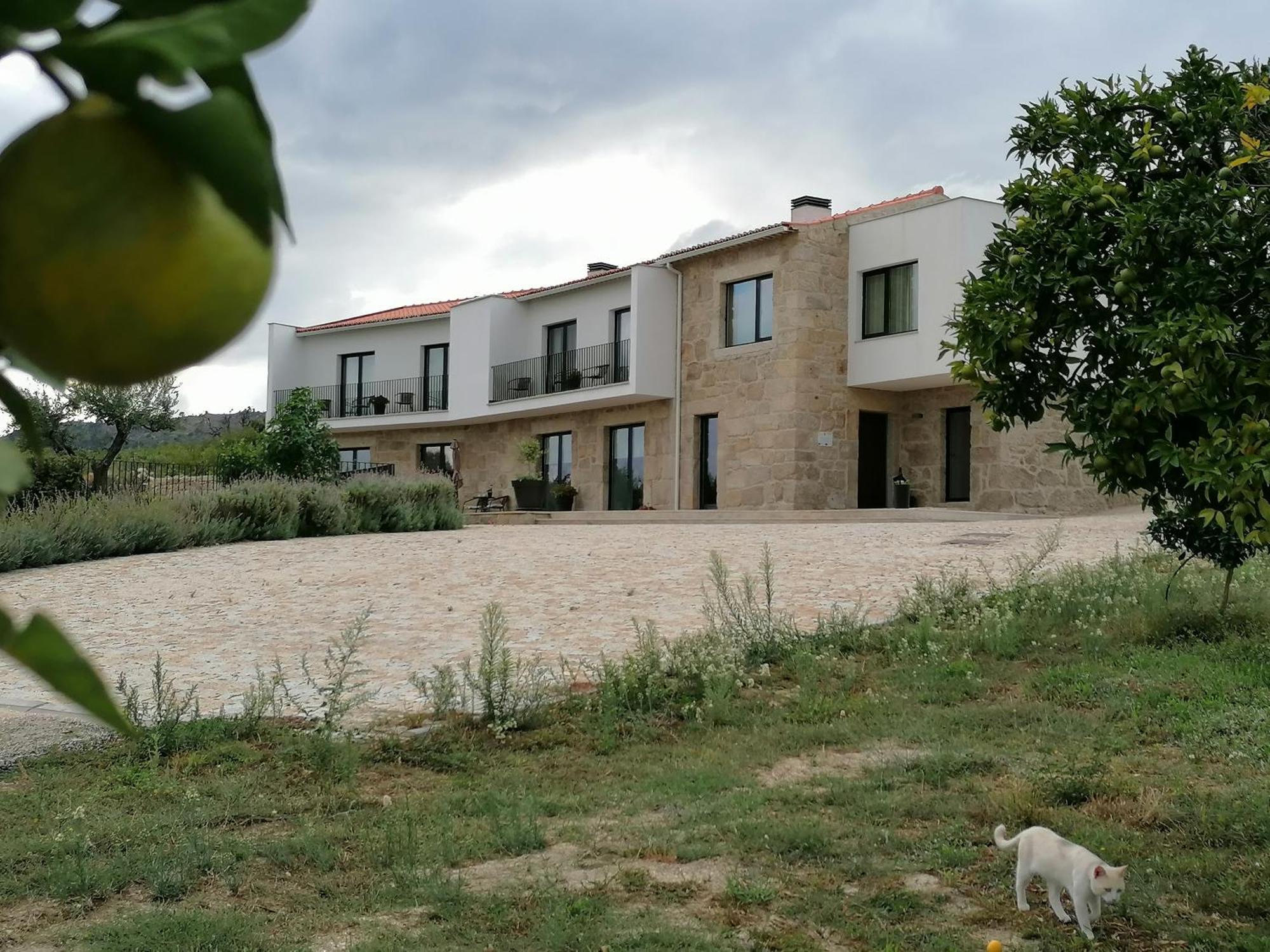 Carvalhal Redondo - Farm House Castelo Novo Zewnętrze zdjęcie